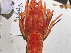 -和创柚子·会席日本料理(新区淮海街店)