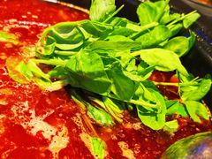 -钢管厂五区小郡肝串串香(通锦桥店)