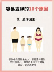 -Fundi张玉珊修身堂·indiba·BTL科技瘦身