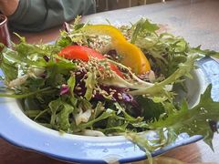 -大自然素食(望桐路店)