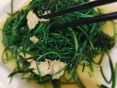 沙葱炒鸡蛋-敦煌达记酱驴肉黄面馆