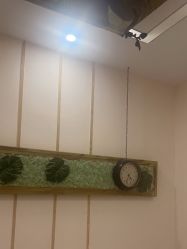 -芳朵美容养生SPA