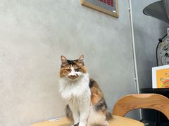 -玫瑰咖啡(中山六路店)