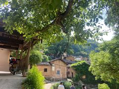 -杨家堂村