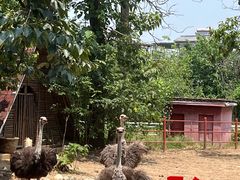 -西安秦岭野生动物园