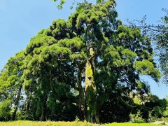 -鼓岭旅游度假区