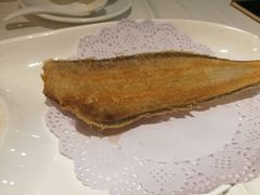 干炸牛舌鱼-金春禧(世茂国际广场店)