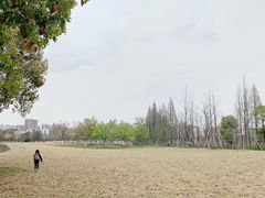 -杭州城北体育公园