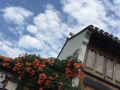 -猫的天空之城概念书店(苏州平江店)