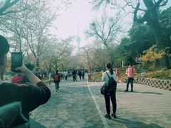 -关夫人餐厅(阳光广场店)