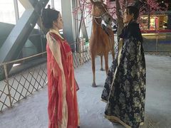 -肃宁华斯国际裘皮城