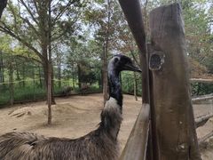 -青藏高原野生动物园
