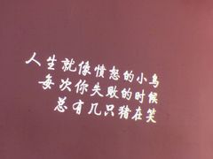 -成都失恋馆