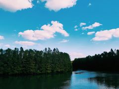 -上海海湾国家森林公园