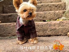 -北山街历史文化街区