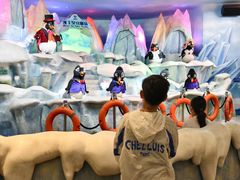 -帝企鹅自助餐厅•儿童岛•真企鹅(长隆企鹅酒店)