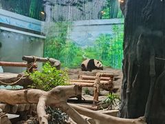 -灵玲国际马戏城
