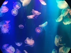 -成都浩海立方海洋公园