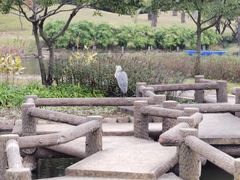 -普陀山雷迪森庄园
