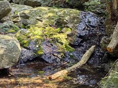 -梧桐山风景名胜区
