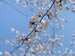 -永乐路-路侧停车场