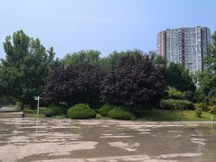 -望湖公园