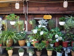 -龙姐私房菜(和顺古镇店)