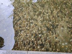 -融汇温泉