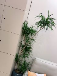 -进巍美甲美睫店