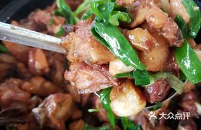 Softshell Turtle and Free-range Chicken Stew