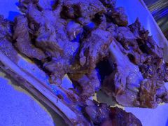 -外滩海鲜烧烤广场(东三旗店)