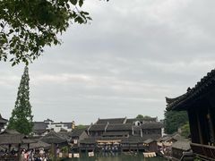 -乌镇西栅景区