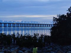 -宝安西湾红树林湿地公园