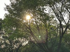 -云溪植物园