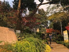 -杭州半山国家森林公园