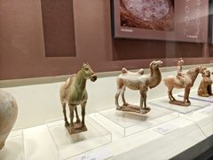 -隋唐大运河文化博物馆