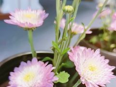 -喜湘宴·精致湖南菜(和平西桥店)