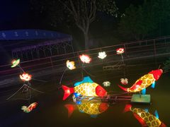 -广东花都香草世界旅游度假区