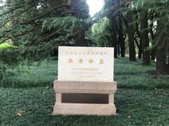 -宋庆龄陵园