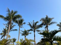 -大梅沙海滨公园