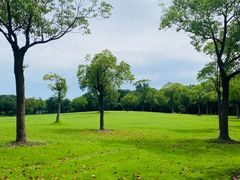 -上海吴淞炮台湾国家湿地公园