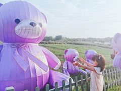 -大塘金香草谷