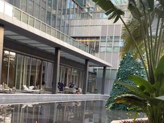 -大堂吧·雪茄吧·威士忌·下午茶(深圳机场希尔顿逸林酒店)