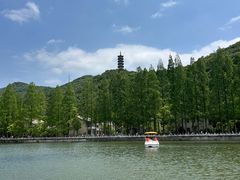 -黄贤森林公园