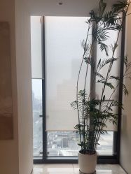 -HYOUNG 禾漾·BTL官方美学中心