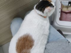 -嘉馨宠物医院·CT影像转诊·心脏科·犬猫全科诊疗中心(下沙大学城院区)
