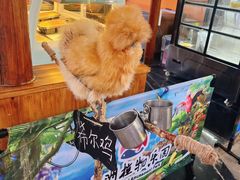 -南宫五洲植物乐园