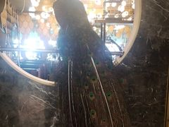 门面-雀蓝川菜(奥体广场店)