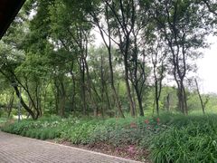 -西湖风景区-江洋畈生态公园