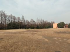 -上海滨江森林公园